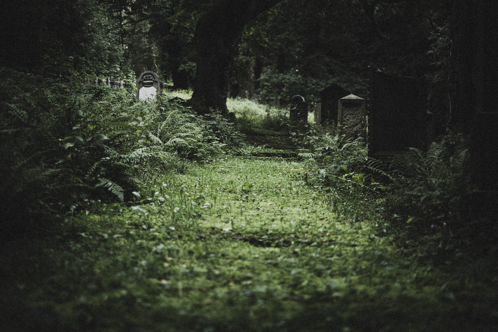 Obernkirchen, Jüdischer Friedhof
